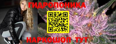 трава Славянск-на-Кубани