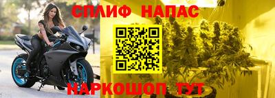 ПСИЛОЦИБИНОВЫЕ ГРИБЫ Славгород