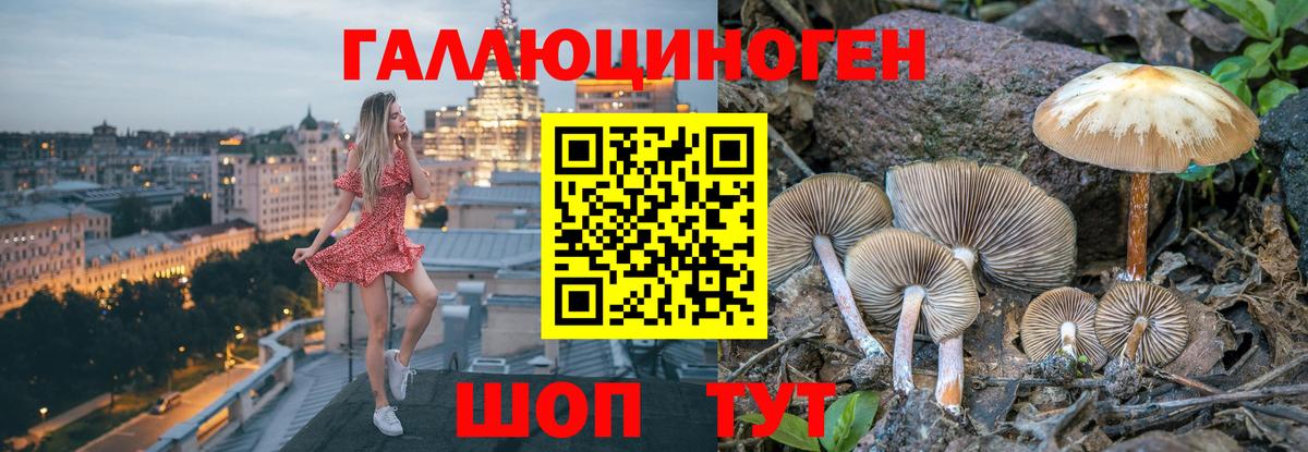 Ростов Великий  где найти   Вход с VPN  Галлюциногенные грибы Psilocybe  Псилоцибиновые грибы Cubensis 